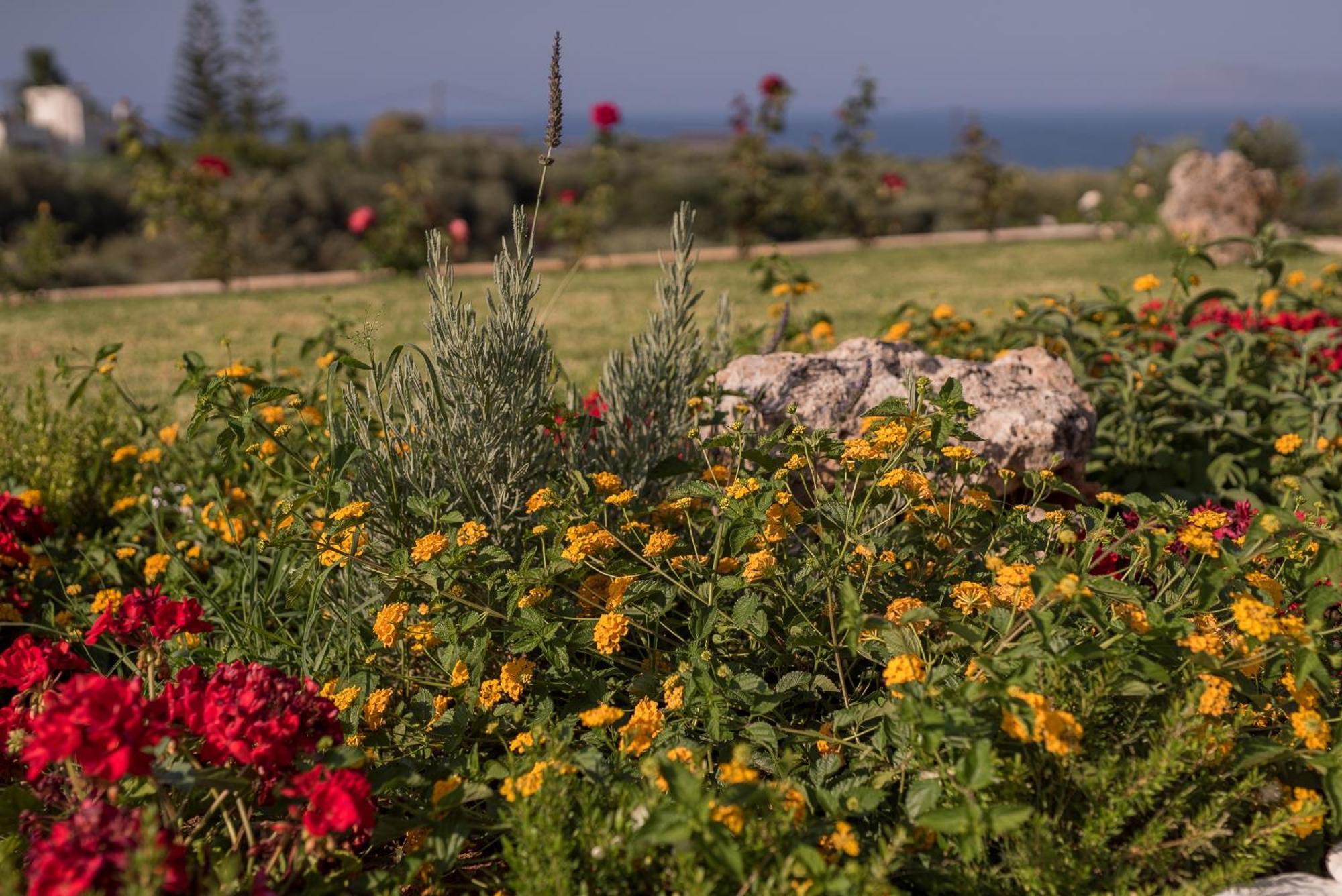 Koukos Villas Σταλός Δωμάτιο φωτογραφία