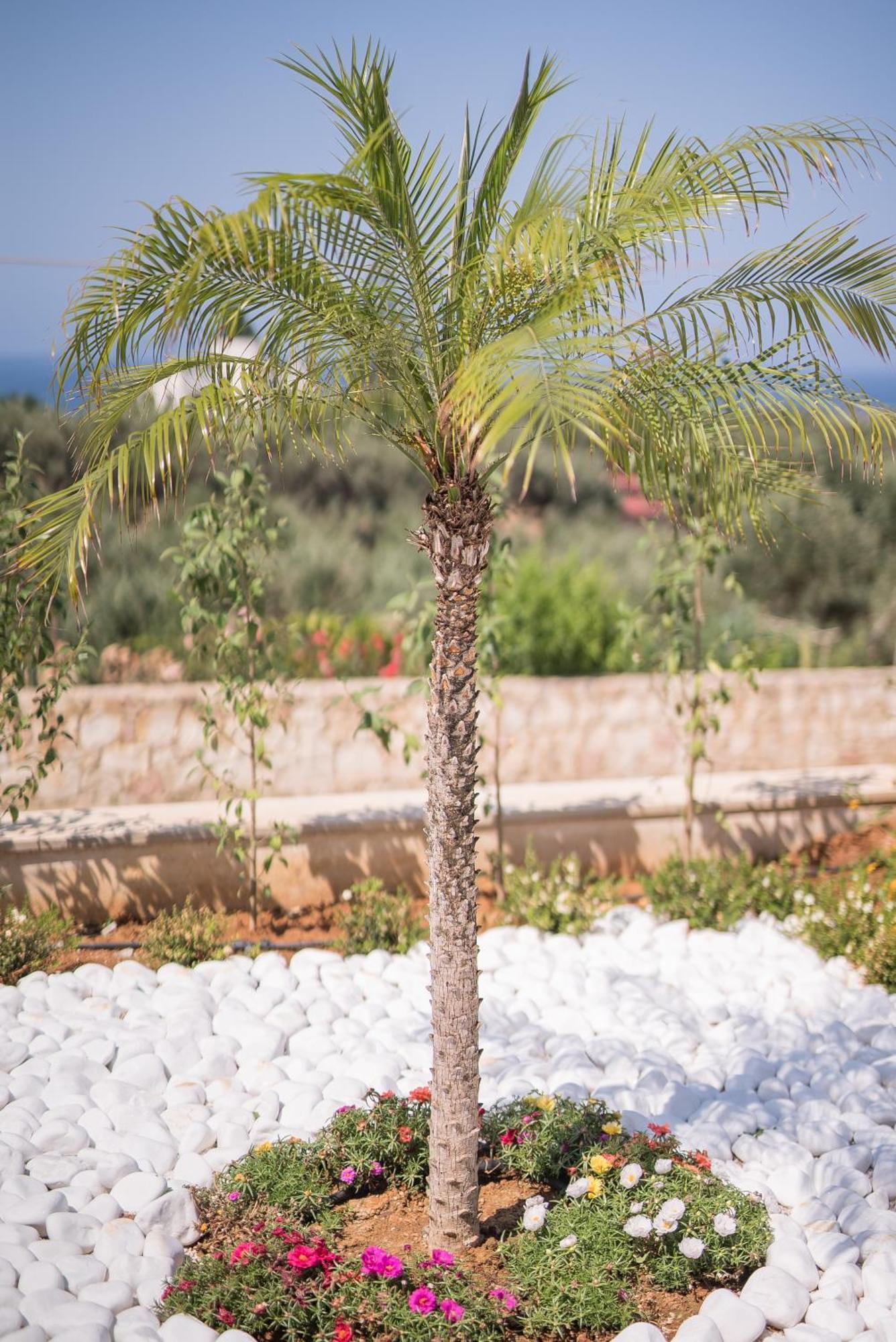 Koukos Villas Σταλός Δωμάτιο φωτογραφία